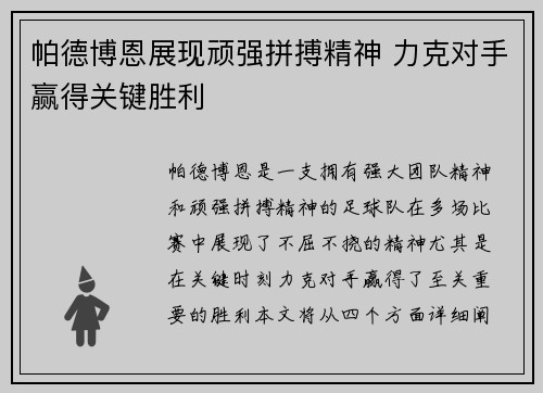 帕德博恩展现顽强拼搏精神 力克对手赢得关键胜利