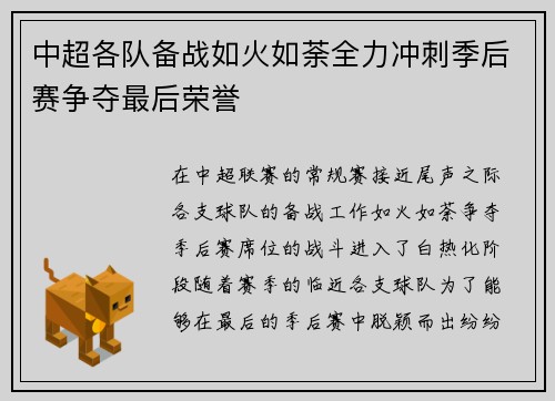 中超各队备战如火如荼全力冲刺季后赛争夺最后荣誉