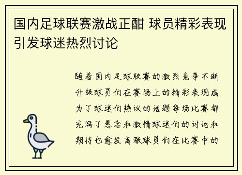 国内足球联赛激战正酣 球员精彩表现引发球迷热烈讨论